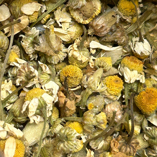 Chamomile – Classic Calming Herbal Tea