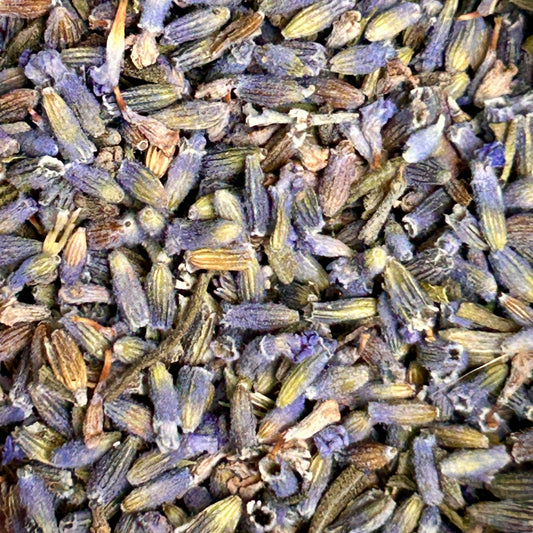 Lavender – Calming Floral Herbal Tea