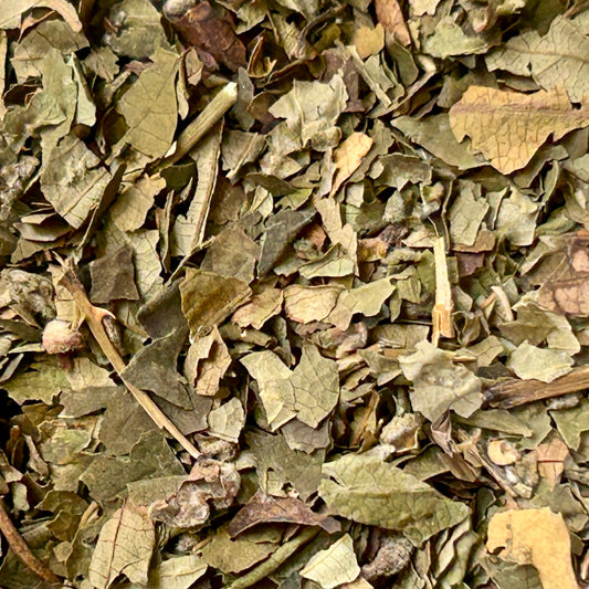 Raspberry Leaf – Traditional Uterine Support Herbal Tea