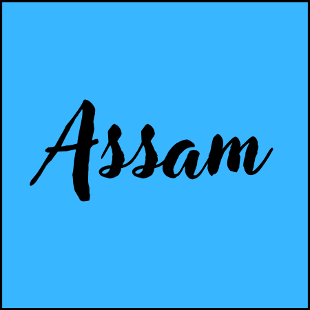 Assam Black Tea – Bold & Malty Breakfast Black Tea