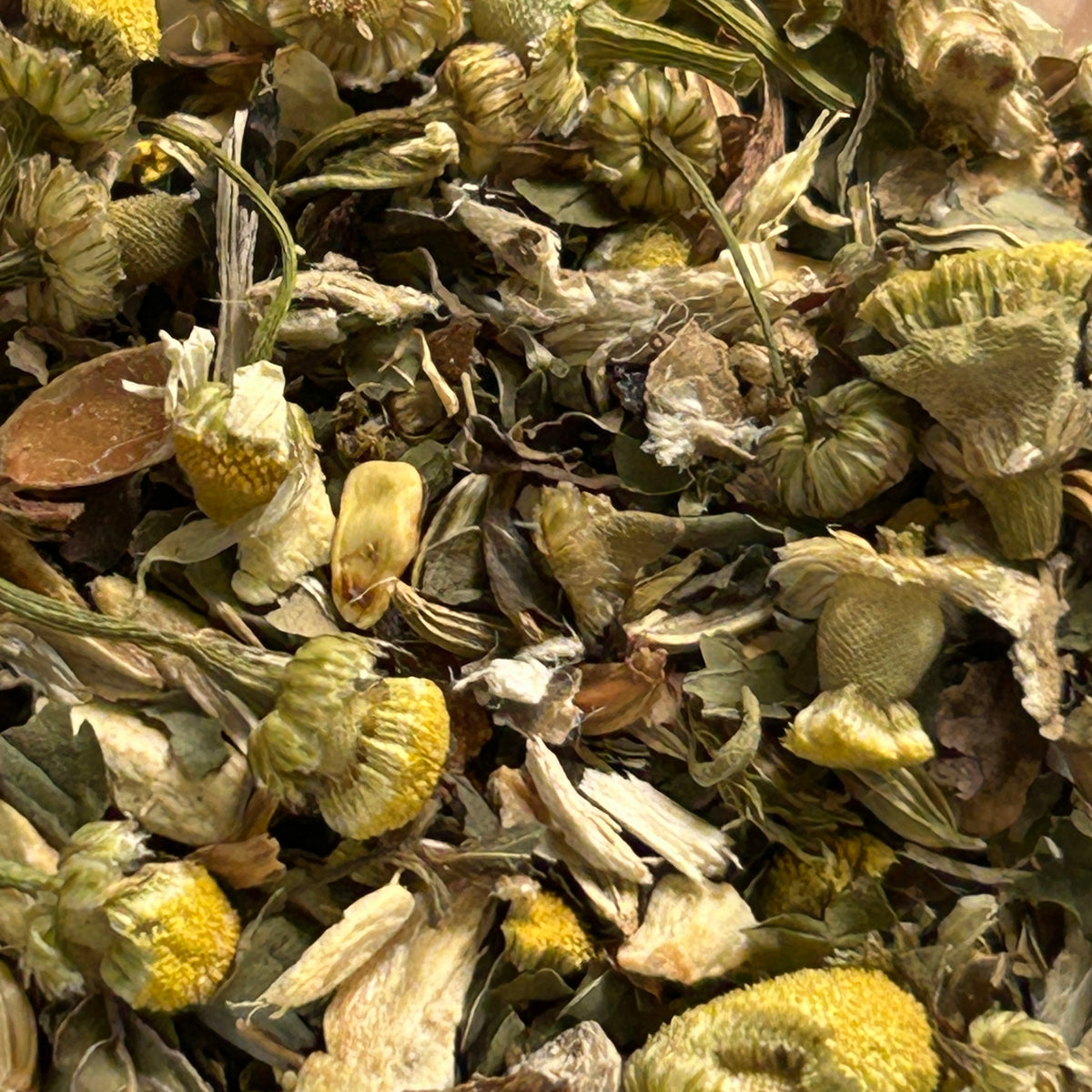 Digestion Collection – Herbal Teas for Everyday, Targeted & After-Meal Support