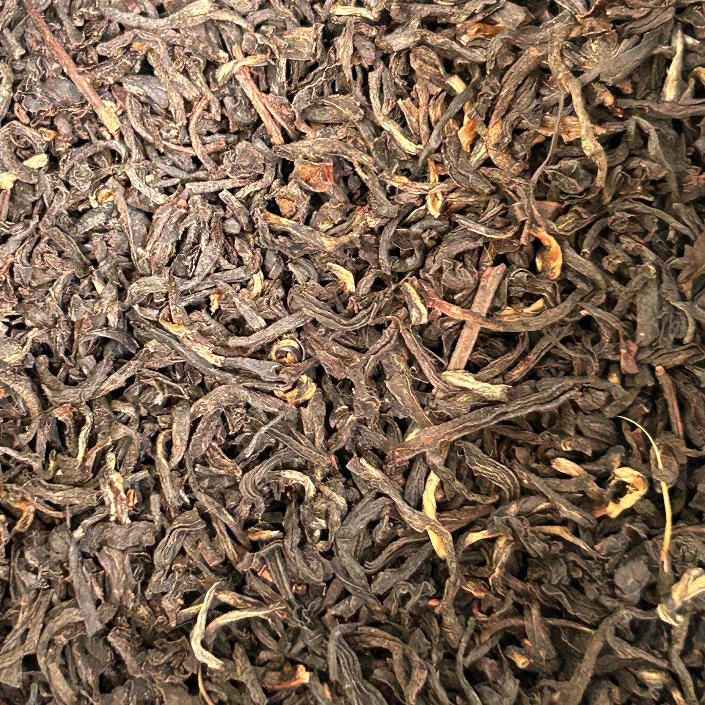 Assam Black Tea - Black Tea