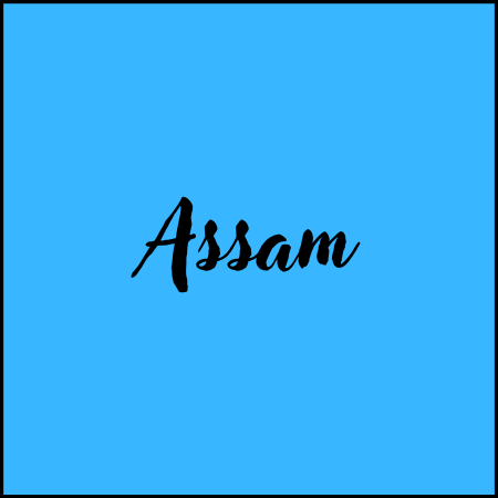 Assam Black Tea - Black Tea