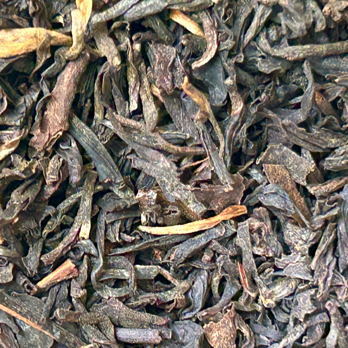 Assam Black Tea – Bold & Malty Breakfast Black Tea