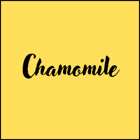 Chamomile – Classic Calming Herbal Tea