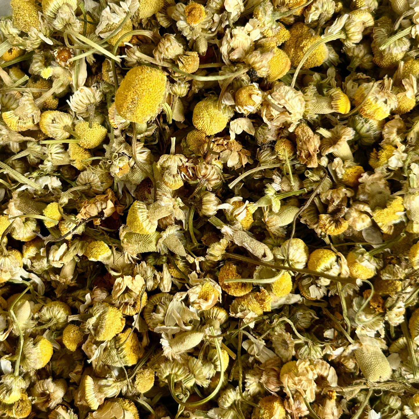 Loose leaf chamomile herbal tea with dried chamomile flowers