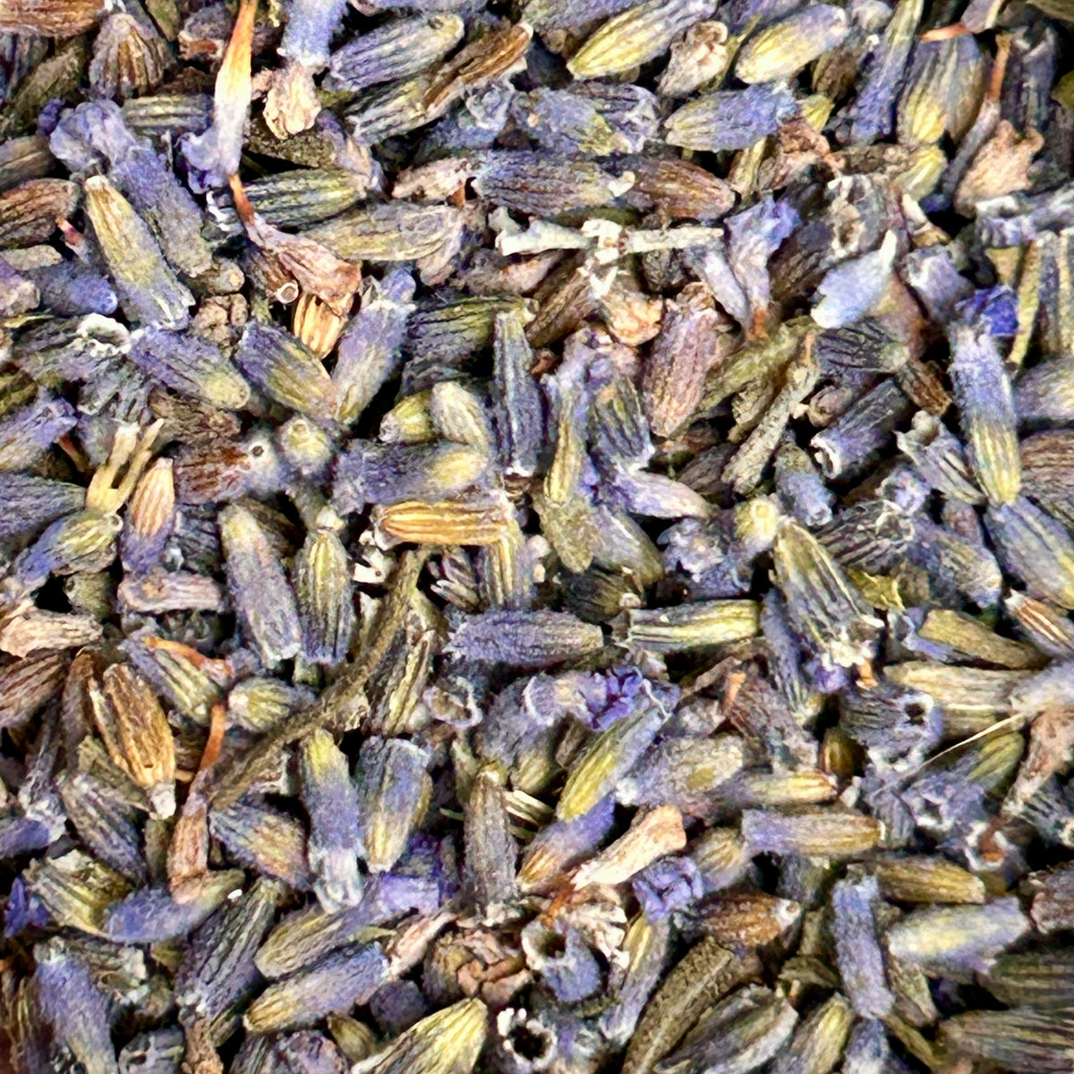Lavender – Calming Floral Herbal Tea