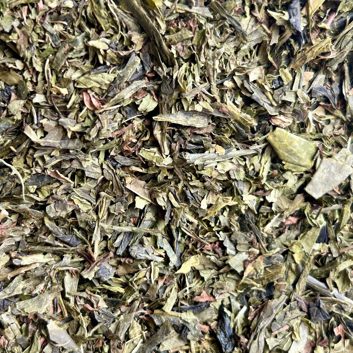 Mint Condition - Green Tea