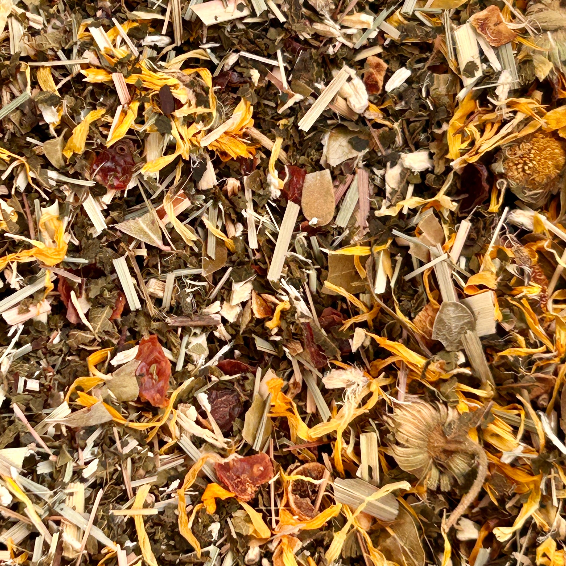 Nightfall Nectar herbal tea for urinary wellness support